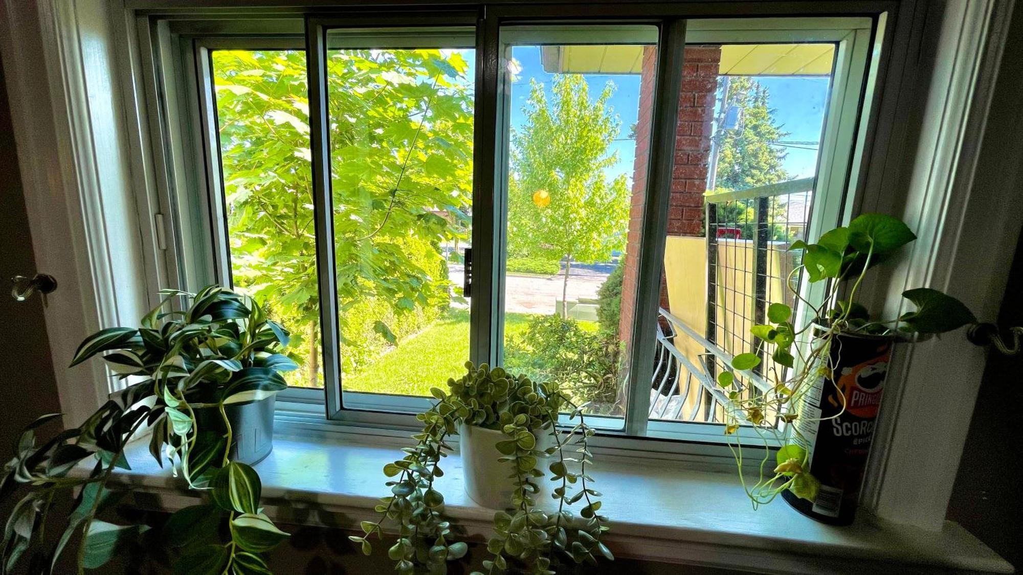 Glengrove Cozy Home Торонто Экстерьер фото